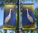 Corporate Park of Viera - Double-Sided Pole-Mounted Banners
