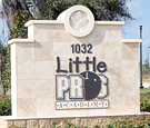 Little Pros Academy